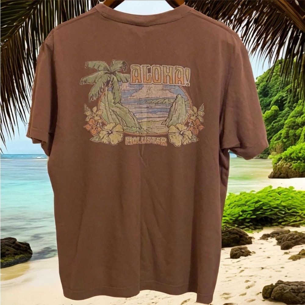 Vintage Y2K Hollister Aloha Hawaii Islander Tee Sun Faded Sand Brown XL 2000s